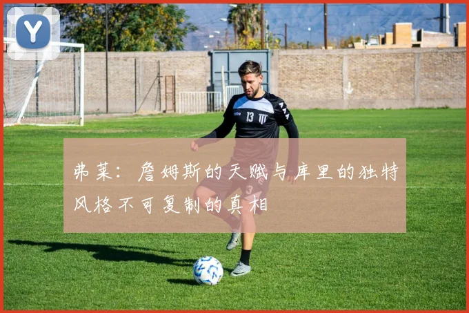 弗莱：詹姆斯的天赋与库里的独特风格不可复制的真相